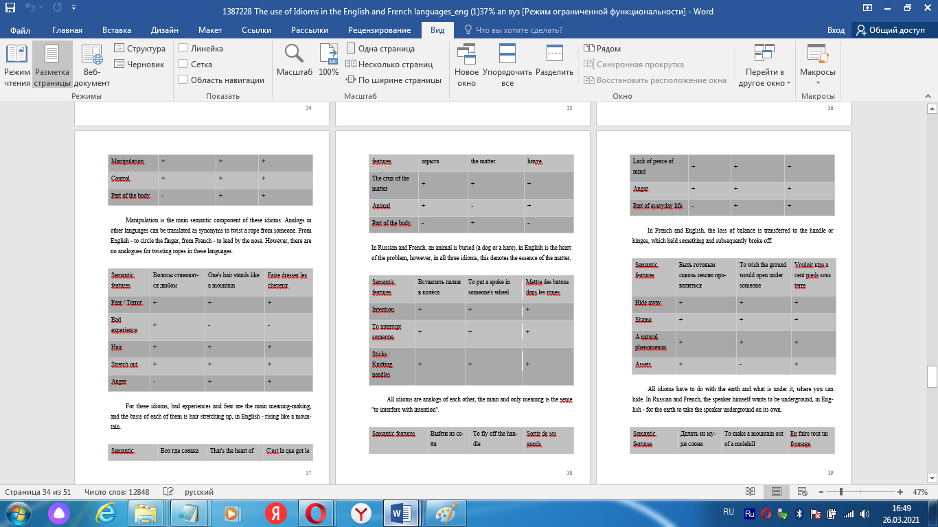 скриншот изображение_2021-03-26_164947 на тему The use of Idioms in the English and French languages
